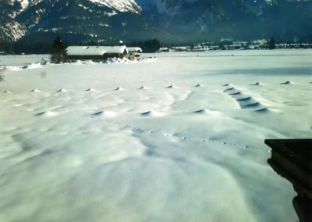 Merryshof
